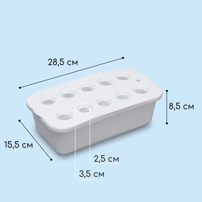 Ящик для выращивания зелёного лука, 29 × 16 × 8,5 см, 2,5 л, 10 лунок, пластик, белый, Greengo