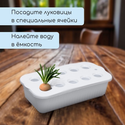 Ящик для выращивания зелёного лука, 29 × 16 × 8,5 см, 2,5 л, 10 лунок, пластик, белый, Greengo