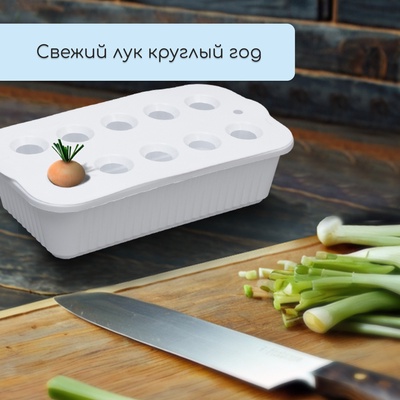 Ящик для выращивания зелёного лука, 29 × 16 × 8,5 см, 2,5 л, 10 лунок, пластик, белый, Greengo