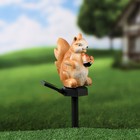 Светильник-штекер "Белочка с орешком", 12х7х43см - фото 37446508