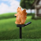 Светильник-штекер "Белочка с орешком", 12х7х43см - фото 37446510