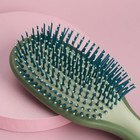 Расчёска массажная, 9 × 22 см, PVC коробка, цвет хакки/светло-зелёный - фото 24365459