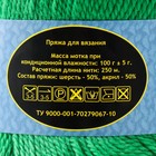 Пряжа "Соната" акрил 50%, шерсть п/т 50% 250м/100гр (044 трава) - Фото 4