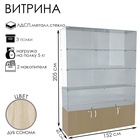 Витрина В 152 вд, 1520×450×2050, ЛДСП, стекло, цвет дуб сонома 9352797