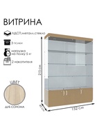 Витрина В 154 ВД, 1520×450×2150, ЛДСП, стекло, цвет дуб сонома - Фото 3
