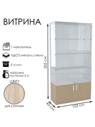 Витрина В 102 ВД, 1020×450×2050, ЛДСП, стекло, цвет дуб сонома 9352807