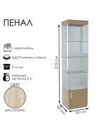 Шкаф пенал «П54 ВД», 520×450×2150 мм, ЛДСП, стекло, цвет дуб сонома - Фото 2