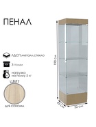 Шкаф пенал «П 54 Н», 520×450×1900 мм, ЛДСП, стекло, цвет дуб сонома 9352842