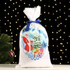 Мешок новогодний "Дед Мороз", атлас, 30х50 см - фото 11507165