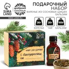 Набор «Будьте здоровы»: чай 20 г., варенье из сосновых шишек 30 г., бальзам 100 мл. - фото 321993960