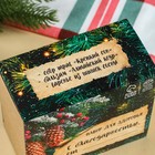 Подарочный набор новогодний«Будьте здоровы»: чай 20 г, варенье из сосновых шишек 30 г, бальзам 100 мл. - Фото 5