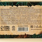 Подарочный набор новогодний«Будьте здоровы»: чай 20 г, варенье из сосновых шишек 30 г, бальзам 100 мл. - Фото 7