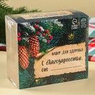 Подарочный набор новогодний«Будьте здоровы»: чай 20 г, варенье из сосновых шишек 30 г, бальзам 100 мл. - Фото 8