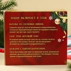 Подарочный набор новогодний «Будьте здоровы»: чай 20 г, варенье из сосновых шишек 30 г, бальзам 100 мл. - Фото 6