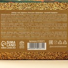 Подарочный набор новогодний «Будьте здоровы»: чай 20 г, варенье из сосновых шишек 30 г, бальзам 100 мл. - Фото 7