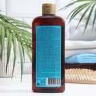 Шампунь бессульфатный Argan Oil против выпадения волос, 400 мл - Фото 2