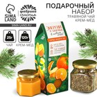 Подарочный набор новогодний «Энергии и здоровья»: чай и крем-мед 120 г - Фото 1