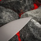 Нож кухонный Samura GOLF, Сантоку, лезвие 18 см, AUS-8 - Фото 4
