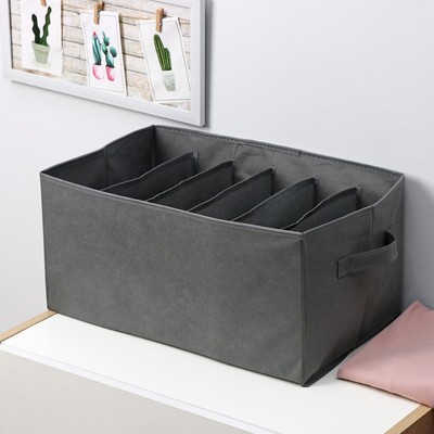 Органайзер для хранения белья «Смарт», 6 ячеек, 44×29×22 см, серый