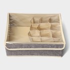 Органайзер для хранения белья с прозрачной крышкой Доляна «Тео», 13 ячеек, 32×23×12 см, цвет серый - Фото 4