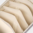 Органайзер для хранения белья Доляна «Тео», 6 ячеек, с прозрачной крышкой, 32×23×12 см, серый - Фото 4