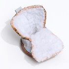 Ботинки для животных «Модник», набор 4 шт., 4 размер (5.3×4 см), коричневые - Фото 5