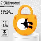 Набор для создания сумочки из фетра «Ведьма на метле» - Фото 1