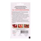 Семена Томат "Каштановый шоколад", 5 шт - Фото 2