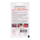 Семена Томат "Ликер оранжевый F1", 10 шт - Фото 2