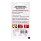 Семена Томат "Минусинские стаканы",индетерминантный, 0,02 г - Фото 2