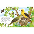 Как Появляется... Гурина И.В. 9364649