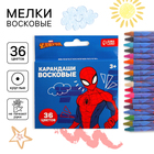 Восковые карандаши, набор 36 цветов, Человек-Паук - фото 17652167
