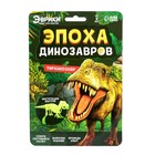 Набор для опытов «Эпоха динозавров: Тираннозавр», светится в темноте - Фото 5
