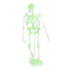Набор для опытов «Тело человека», светится в темноте - Фото 3