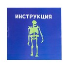 Набор для опытов «Тело человека», светится в темноте - Фото 4