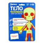 Набор для опытов «Тело человека», светится в темноте - Фото 5