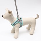 Шлейка с поводком, размер XXS, ОШ 24-26 ОГ 28-30 см, поводок 150×1.5 см, быстросъёмная, мягкая, бирюзовая - Фото 2