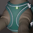 Шлейка с поводком, размер XXS, ОШ 24-26 ОГ 28-30 см, поводок 150×1.5 см, быстросъёмная, мягкая, бирюзовая - Фото 7