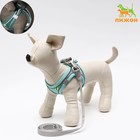 Комплект с мягкой шлейкой, быстросъемный, XS, поводок 150×1.5 см, ОШ 29-32 ОГ 31-34 см, бирюзовый - Фото 1