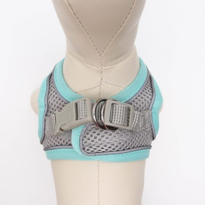 Шлейка с поводком, XS, ОШ 29-32 ОГ 31-34 см, поводок 150×1.5 см, быстросъёмная, мягкая, бирюзовая