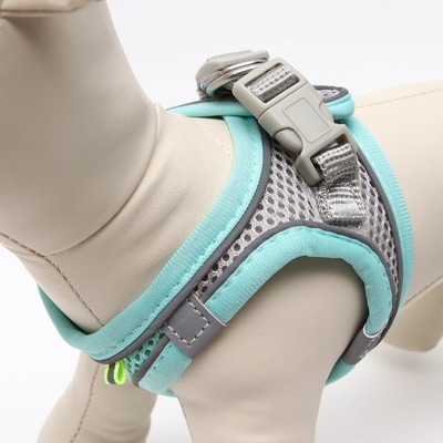 Шлейка с поводком, XS, ОШ 29-32 ОГ 31-34 см, поводок 150×1.5 см, быстросъёмная, мягкая, бирюзовая