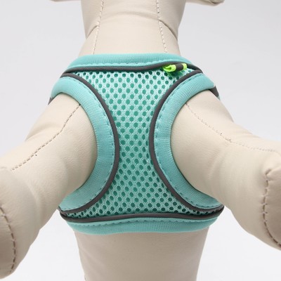 Шлейка с поводком, XS, ОШ 29-32 ОГ 31-34 см, поводок 150×1.5 см, быстросъёмная, мягкая, бирюзовая