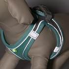 Комплект с мягкой шлейкой, быстросъемный, XS, поводок 150×1.5 см, ОШ 29-32 ОГ 31-34 см, бирюзовый - Фото 6