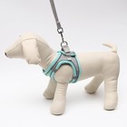 Комплект с мягкой шлейкой, быстросъемный, S, пов.150×1.5 см, ОШ 33-36 см, ОГ 35-40 см, бирюз - Фото 2