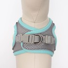 Комплект с мягкой шлейкой, быстросъемный, S, пов.150×1.5 см, ОШ 33-36 см, ОГ 35-40 см, бирюз - Фото 3