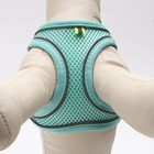 Комплект с мягкой шлейкой, быстросъемный, S, пов.150×1.5 см, ОШ 33-36 см, ОГ 35-40 см, бирюз - Фото 5