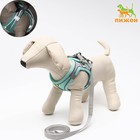 Комплект с мягкой шлейкой, быстросъемный, M, поводок 150×1.5 см, ОШ 38-44 см, ОГ 44-50 см, бирюзовый - Фото 1