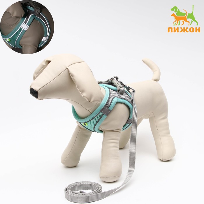 Комплект с мягкой шлейкой, быстросъемный, M, поводок 150×1.5 см, ОШ 38-44 см, ОГ 44-50 см, бирюзовый - Фото 1