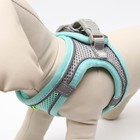 Комплект с мягкой шлейкой, быстросъемный, M, поводок 150×1.5 см, ОШ 38-44 см, ОГ 44-50 см, бирюзовый - Фото 4