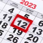 Календарь квартальный, моно "Символ Года - 8" 2023 год, 30х46см - Фото 3
